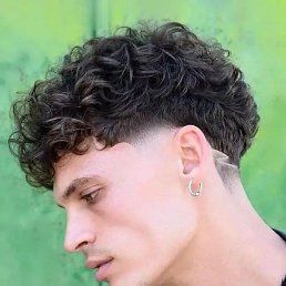 Leonardo, ��������, 38 ���