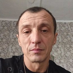 ��������, �����������, 41 ���