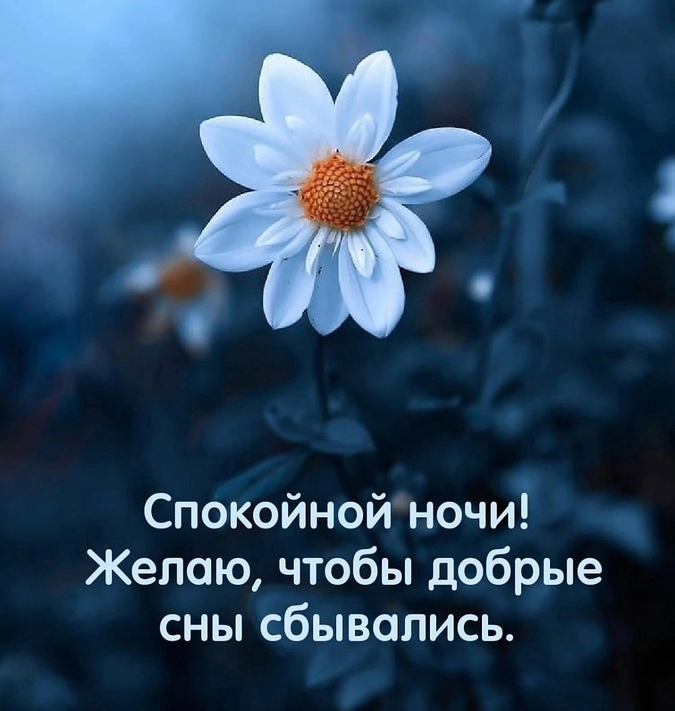   ,    . - 15  2025  22:22