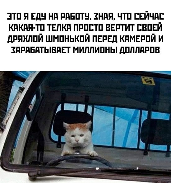  - 3  2025  17:48