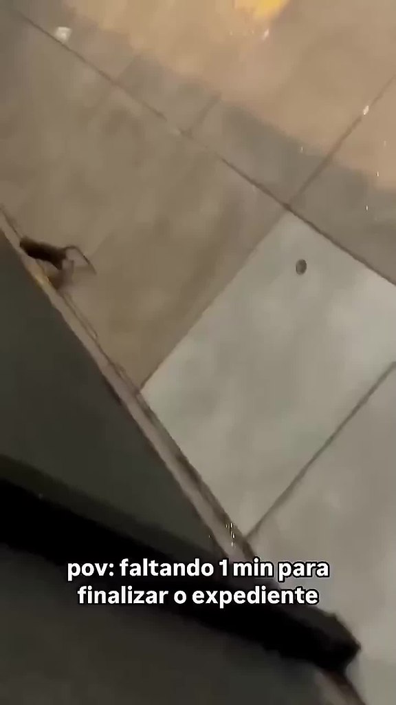 ���� �� �� �� ������? - 2