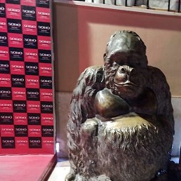 �����, ���������, 55 ���