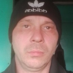 ������, ���������, 40 ���