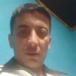 ���������, ������, 44 ����