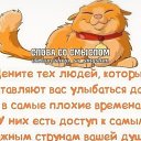 ���� �����, ������� - ��������� 9 ����� 2026 � ������ ���� ����������