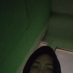 , 33, 