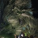 ���� ������, ������, 38 ��� - ��������� 18 ������ 2024 � ������ ���� ����������