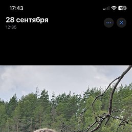 , 17 , 