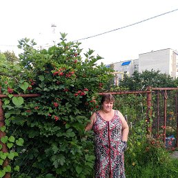 �������, ����, 61 ���