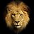 ���� Leon, ������-��-����, 49 ��� - ��������� 25 ������� 2025