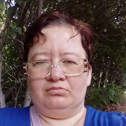 ����, 33 ����, ����������