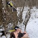 ���� ������, ����������, 45 ��� - ��������� 22 ������ 2026 � ������ ������ ��������