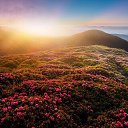 ���� �������, �����-���������, 46 ��� - ��������� 30 ���� 2026