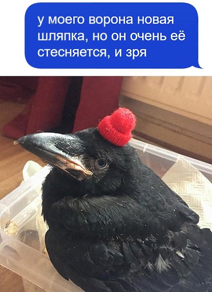    - 5  2024  12:25