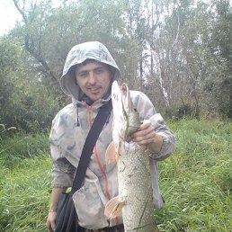 ����� ���������, 37 ���, ����