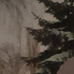 �������, ��������, 40 ���