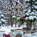  , --, 64  -  21  2024    