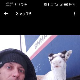 ���� ���������, �����-��������, 34 ���� - ��������� 26 ��� 2026