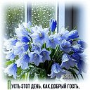 ���� �������, ����������� - ��������� 16 ������ 2026 � ������ ���� ����������