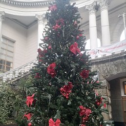 ���� �����, ���������, 47 ��� - ��������� 11 ������ 2026