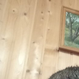 �������, ������, 40 ���