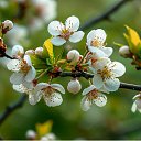 ���� �����, �������, 54 ���� - ��������� 14 ������ 2026 � ������ ������ ��������