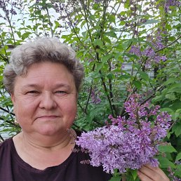 , 62, 