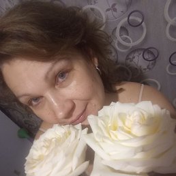 �����, �����, 50 ���