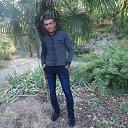 ���� �����, ��������, 29 ��� - ��������� 1 ������� 2024