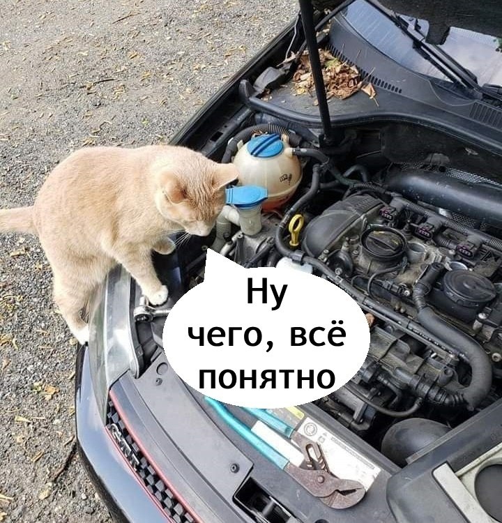 =>
