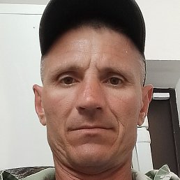 ������, ���������, 41 ���