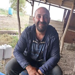 , 29, 