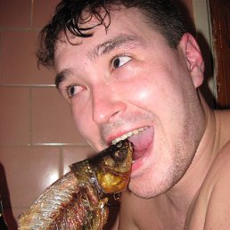 , 41, 