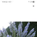 ���� Gegam, �����-���������, 56 ��� - ��������� 12 ������ 2025