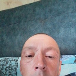 , 41 , 