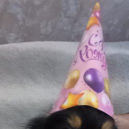 ���������, ������, 37 ���