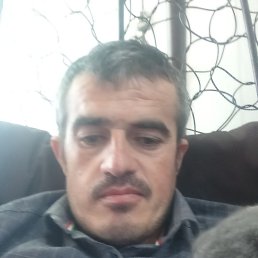 , 32, 