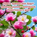 ���� �������, ���� - ��������� 10 ��� 2026 � ������ ������ ��������