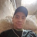 ���� ������, ���������, 47 ��� - ��������� 12 ���� 2026 � ������ ���� ����������