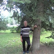 , 67 , 