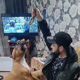 ����, ��������, 27 ���