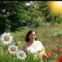 ���� �����, ������, 64 ���� - ��������� 15 ����� 2026