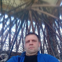 , 43, 