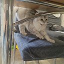 ���� ����, ������� - ��������� 13 ������ 2025 � ������ ������ ��������