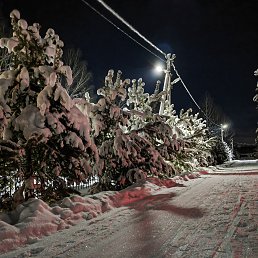 ���� ���������, ����, 48 ��� - ��������� 3 ������ 2026