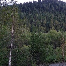 ������, ����������, 44 ����