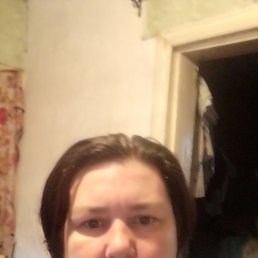 ���� ������, �������, 43 ���� - ��������� 4 ������ 2024