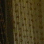 , 54 , -