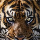 ���� Evi, ������ - ��������� 10 ������� 2024 � ������ ���� ����������