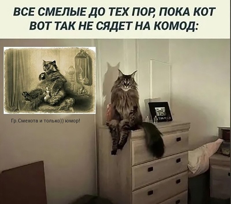  - 7  2024  16:23